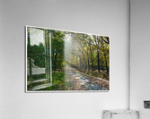 01 137 Acrylic Print