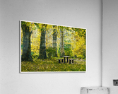 01 142 Acrylic Print