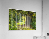 01 158 Acrylic Print