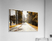 01 127 Acrylic Print