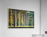 01 132 Acrylic Print