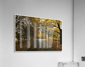 01 139 Acrylic Print
