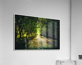 01 138 Acrylic Print