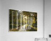 01 128 Acrylic Print