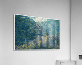 01 157 Acrylic Print