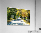 01 125 Acrylic Print