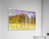 01 120 Acrylic Print