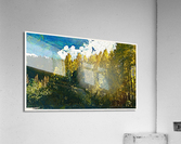 01 123 Acrylic Print