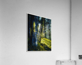 01 119 Acrylic Print