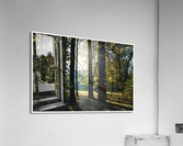 01 131 Acrylic Print