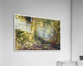 01 133 Acrylic Print