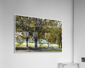 01 163 Acrylic Print