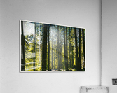 01 153 Acrylic Print