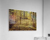 01 145 Acrylic Print