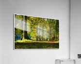 01 141 Acrylic Print