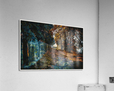 01 135 Acrylic Print
