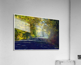 01 129 Acrylic Print