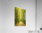 01 160 Acrylic Print