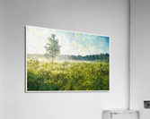 01 169 Acrylic Print