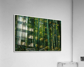 01 170 Acrylic Print