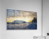 01 174 Acrylic Print
