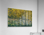 01 181 Acrylic Print