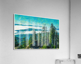 01 177 Acrylic Print