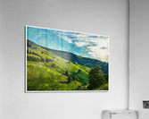 01 187 Acrylic Print