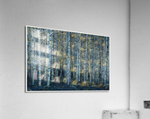 01 185 Acrylic Print