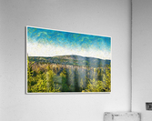 01 203 Acrylic Print