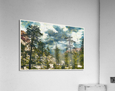 01 198 Acrylic Print