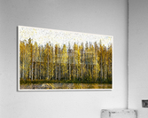 01 186 Acrylic Print