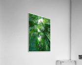 01 171 Acrylic Print