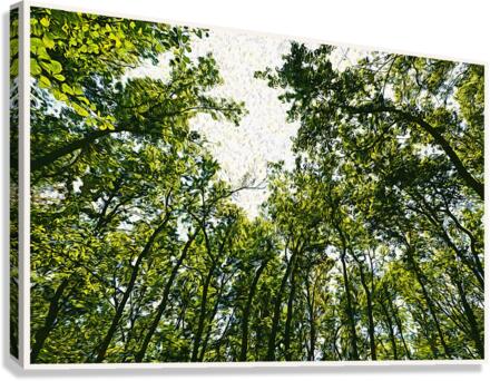 01 27 Canvas Print