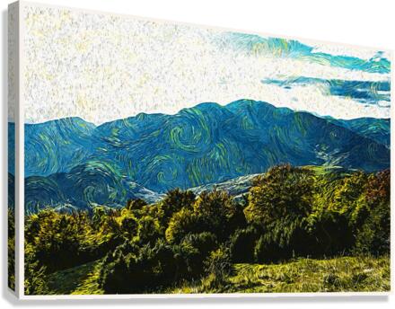 01 13 Canvas Print