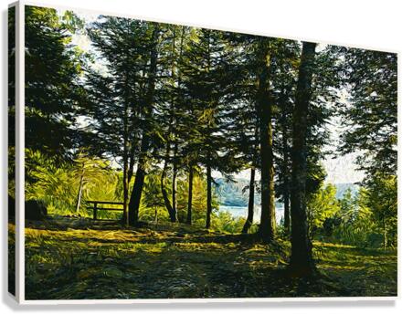 01 42 Canvas Print