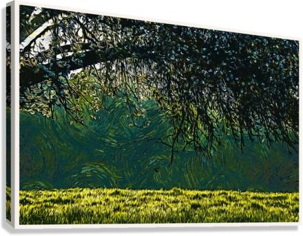 01 18 Canvas Print