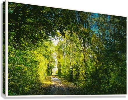 01 2 Canvas Print