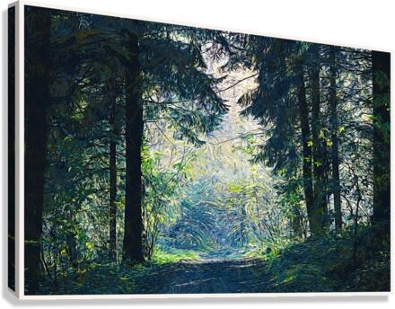 01 48 Canvas Print