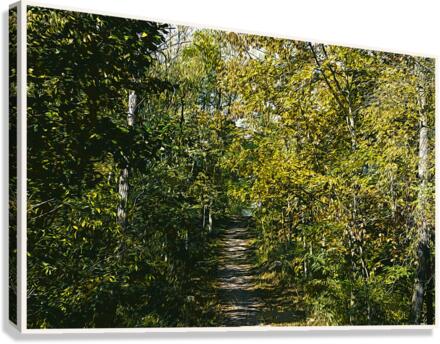 01 47 Canvas Print