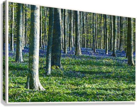 01 38 Canvas Print