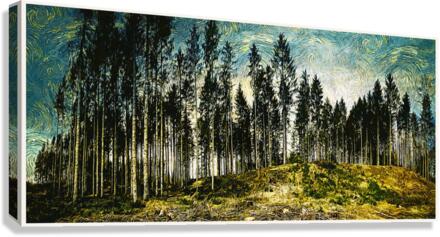 01 46 Canvas Print