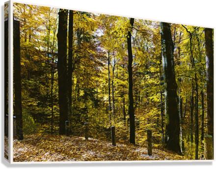 01 35 Canvas Print