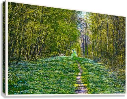 01 6 Canvas Print