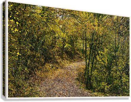 01 45 Canvas Print