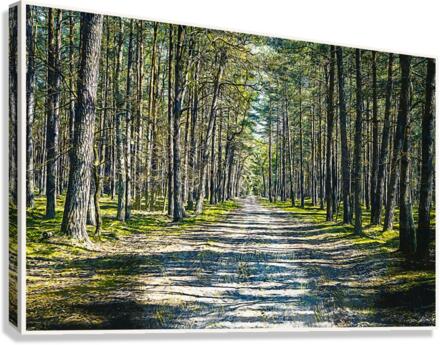 01 43 Canvas Print