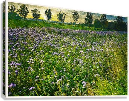 01 62 Canvas Print