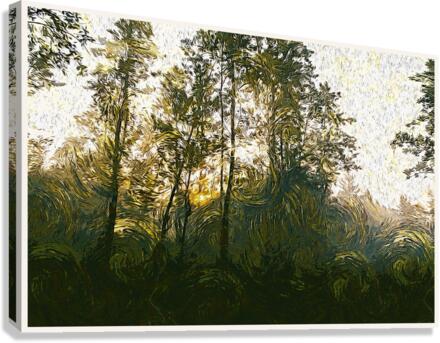 01 60 Canvas Print