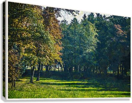 01 75 Canvas Print