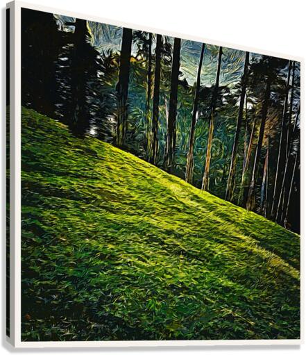 01 61 Canvas Print